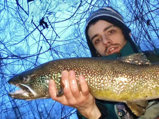 Markus Heiss - Fliegenfischen auf Marmorata: Avisio, Fleimstal