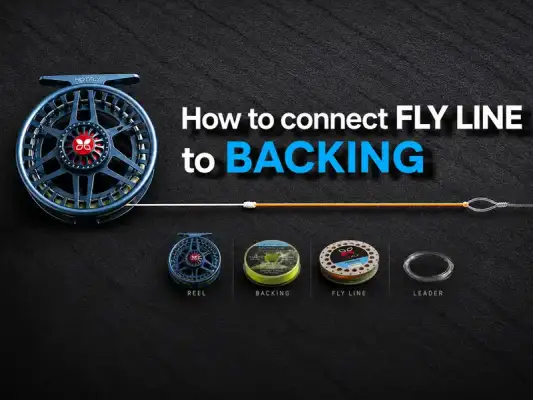 Fliegenschnur mit Backing verbinden - Fliegenschnur mit Backing verbinden: Knoten &amp; Tipps