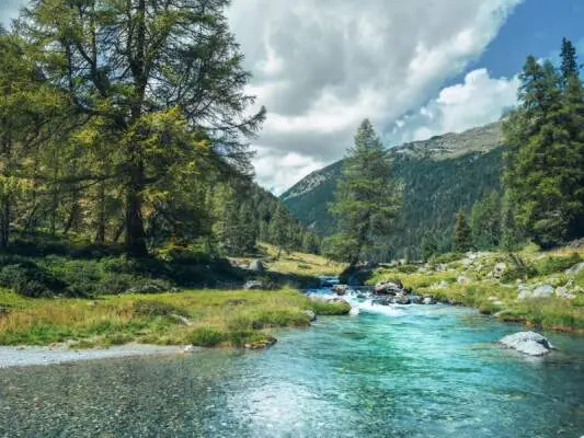 Ramón Carlos Herrero - Trojeralmbach - traumhaft Fliegenfischen in Osttirol
