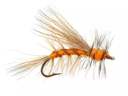 Stimulator Orange