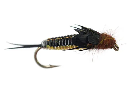 Rainbow Heavy Bodyglass Stonefly