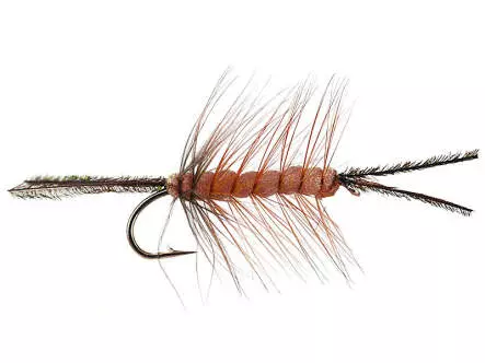 Foam Cata Pillar Brown