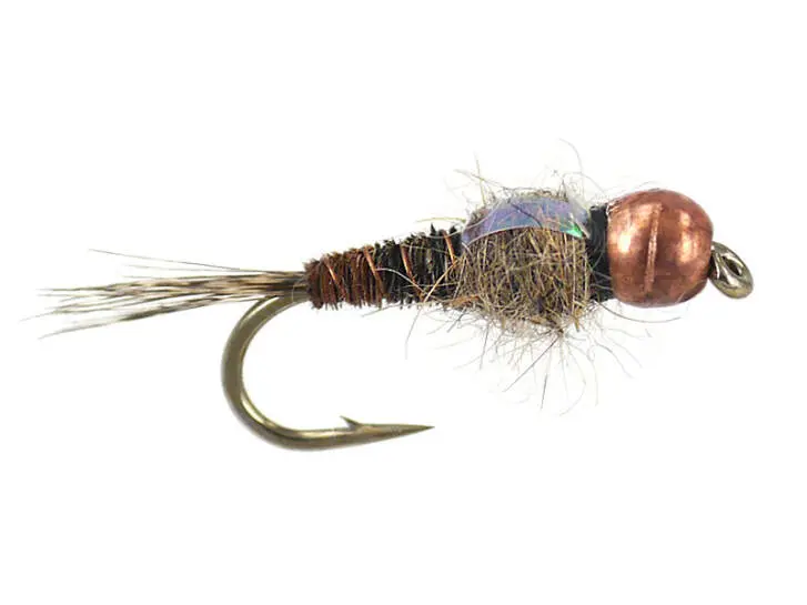 TG Wb Pheasant Tail
