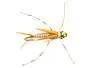 TG Poor Copper Nymph