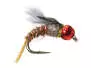 TG Downeys Master - Baetis