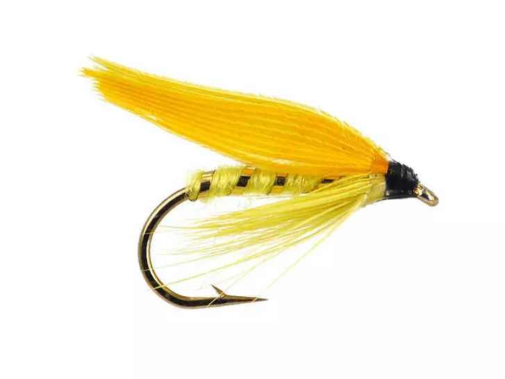 Yellow Sally