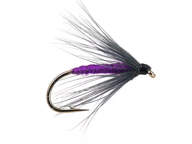 Snipe And Purple
