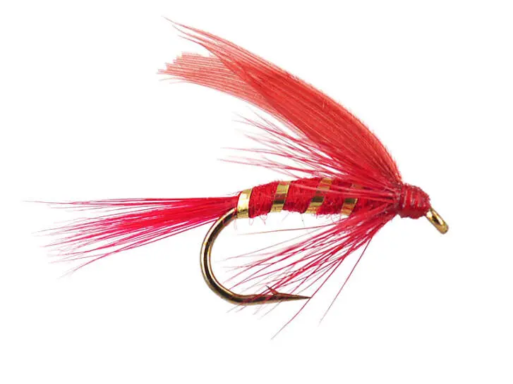 Red Ibis