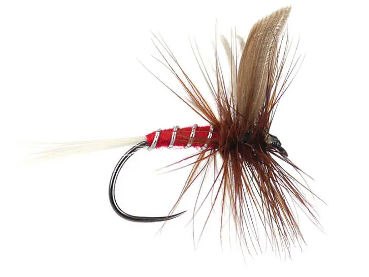 Red Spinner BL 10