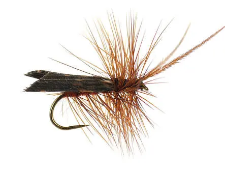 Brown Horned Roof Wing BL 12