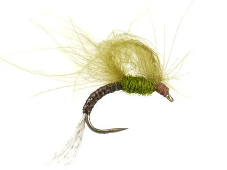 CDC Emerger Olive BL 14