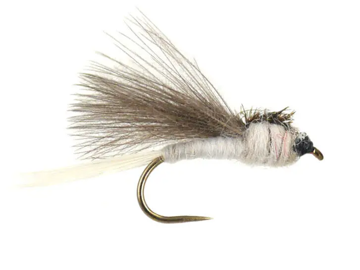 CDC White Dark Winged BL 16