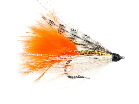 Bonefish Special 8