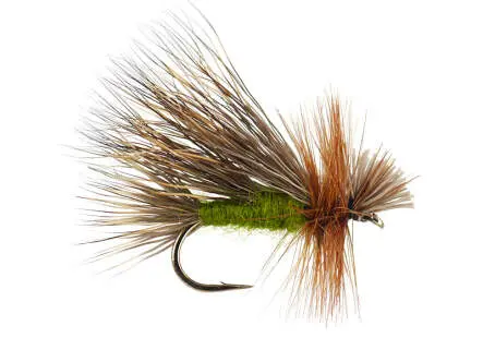 Hairwing Caddis 12