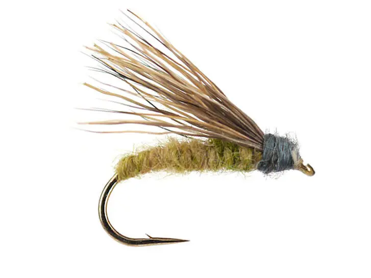 Still Born Elk Caddis 14