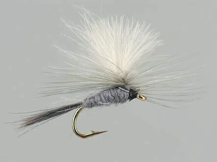 CDC Parachute Grey 16