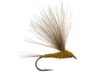 CDC Light Olive 14