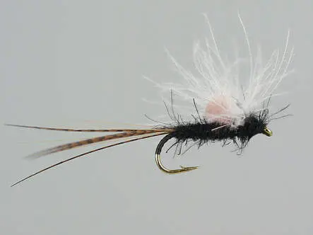 Black CDC 16