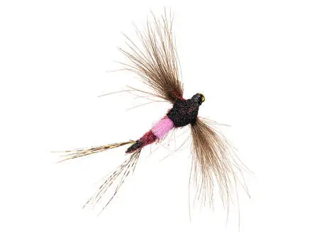 Original CDC 16
