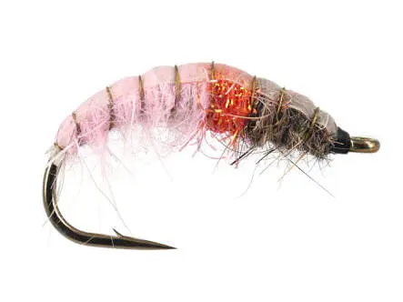 Czech Pink Lady 12