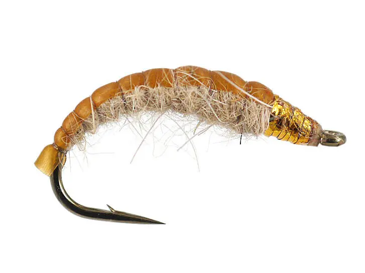 Golden Czech Nymph Superb 12