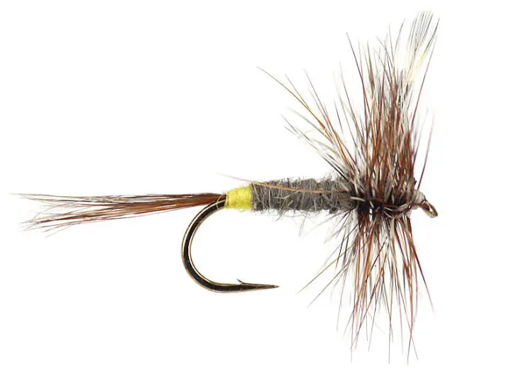Adams Female 10