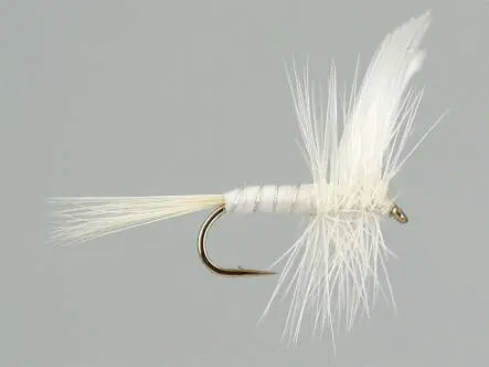 White Miller 12