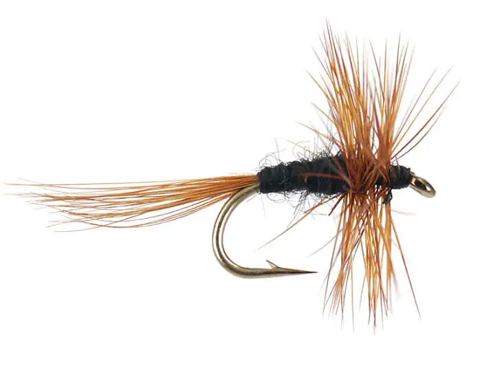 Kites Imperial 12