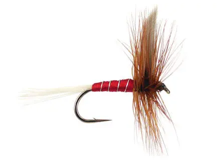 Red Spinner 14