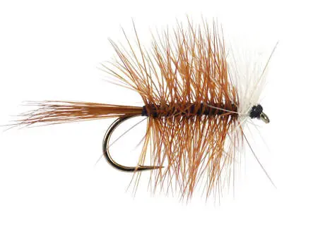 Brown Bivisible 16