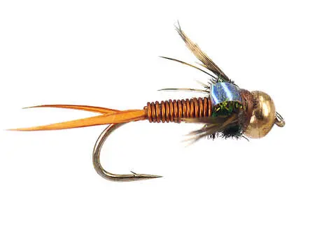 Copper John 14