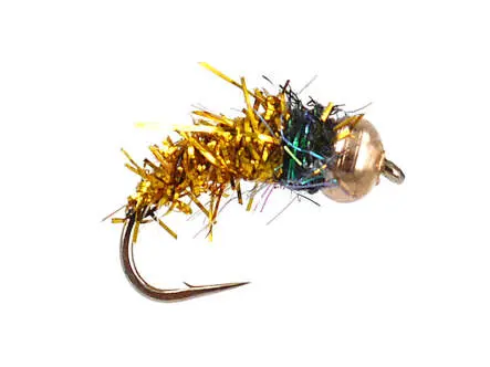 Bright Golden Nymph 12