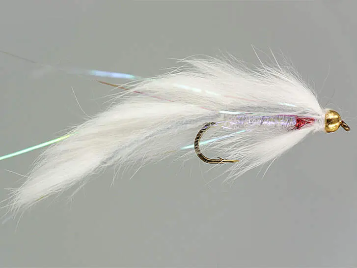 Bright Beaded Zonker White 8