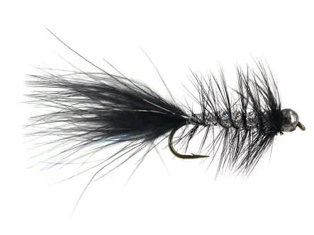 W.B. Bright Black Competition 10