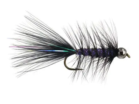 W.B. Bright Violet Competition 10