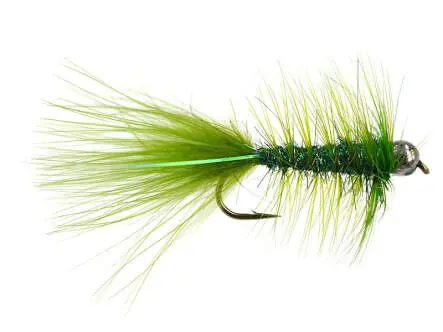 W.B. Bright Olive Competition 10