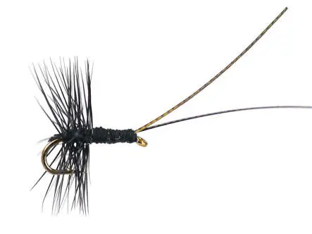 Midge Pupa Black 18