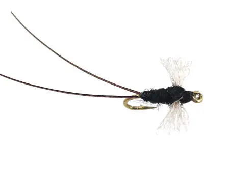 Tricorythodes Dun 16
