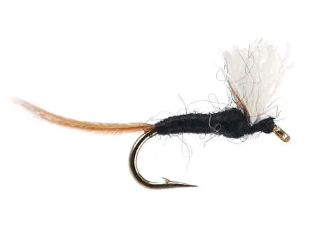 Tricorythodes Male Spinner 18