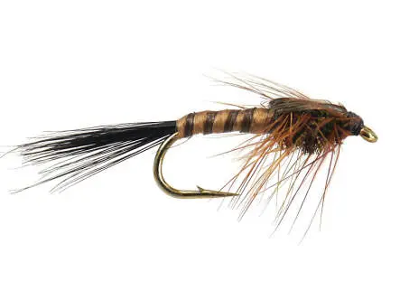 March Brown 12