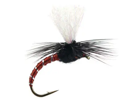Klinkhammer Brown Black 14