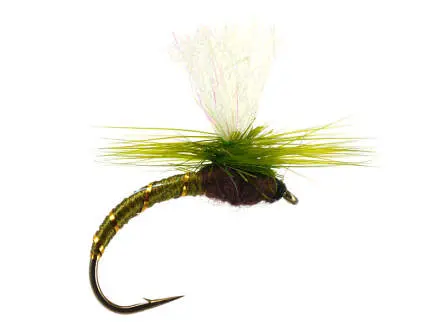 Klinkhammer Olive 12