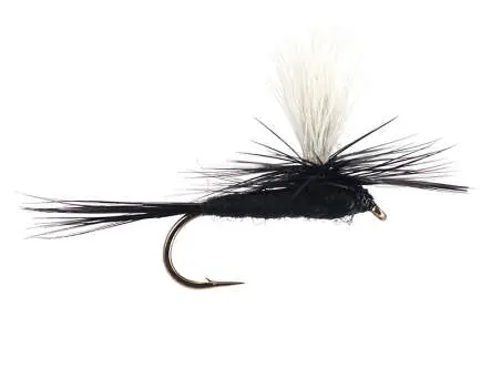 Parachute Black Gnat 16