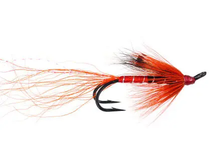 Ally Shrimp Orange 6