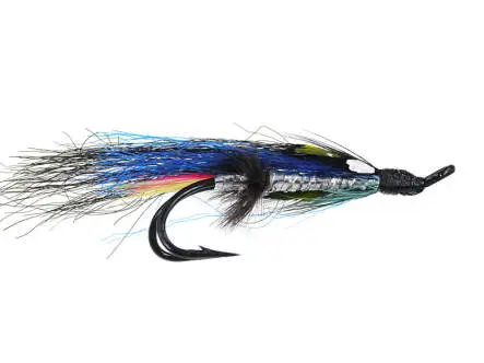 Blue Highlander 4
