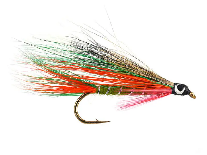Little Brook Trout 8