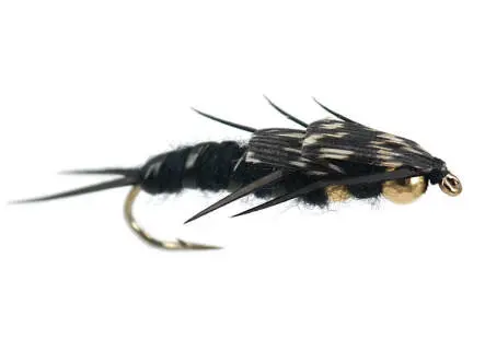Double BH Black Stonefly 8