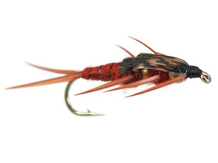 Double BH Brown Stonefly 8