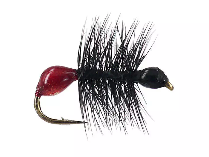 Hard Body Bicoloured Red Black Ant 14