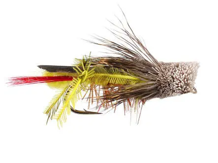 Davis Hopper 12